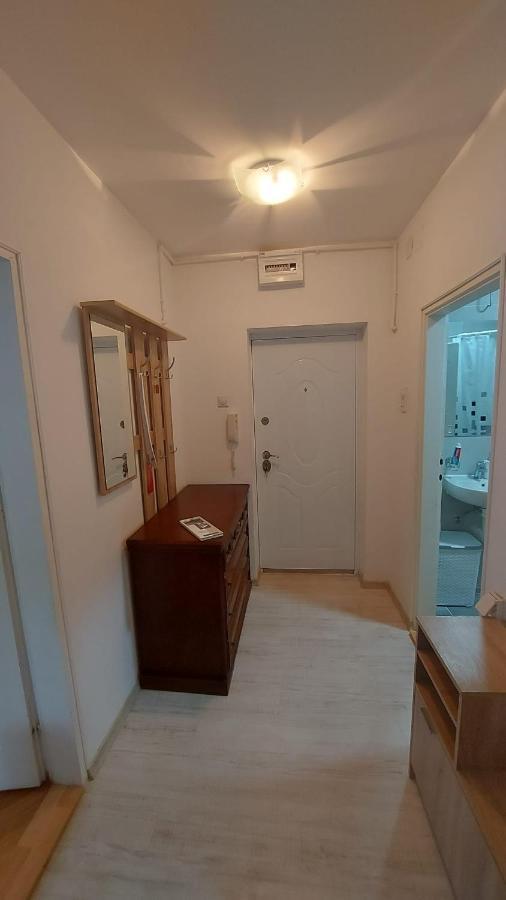 Apartman Milica Vrsac Exteriör bild