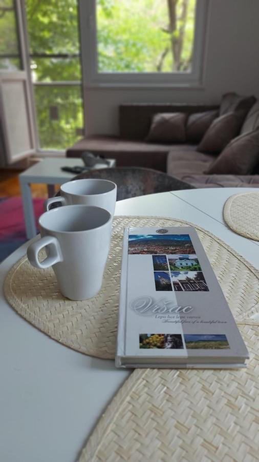 Apartman Milica Vrsac Exteriör bild