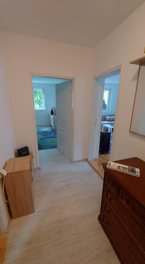 Apartman Milica Vrsac Exteriör bild