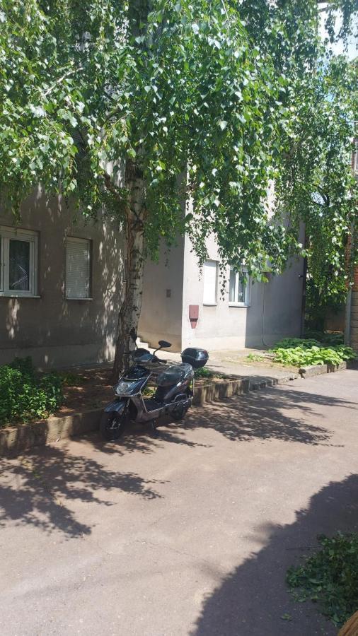 Apartman Milica Vrsac Exteriör bild