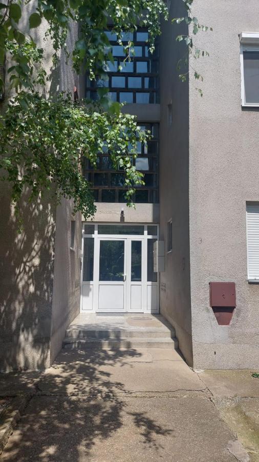 Apartman Milica Vrsac Exteriör bild