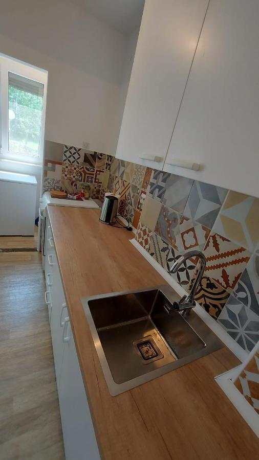Apartman Milica Vrsac Exteriör bild