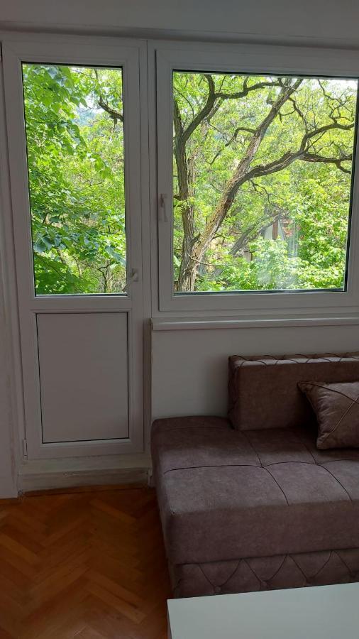 Apartman Milica Vrsac Exteriör bild
